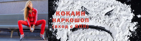 мяу мяу мука Бородино