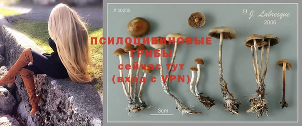 эйфоретик Богданович